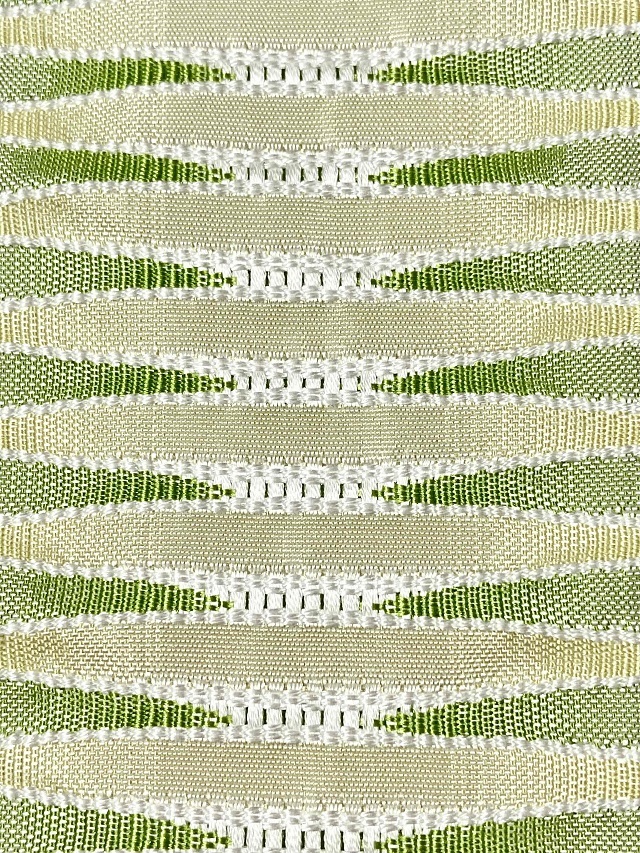 杉村　麟　帯