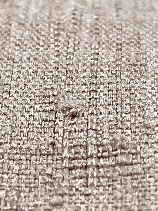 本場結城紬 奥順 究極の無地｜着物セレクト専門店スポットガーデン