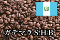 ガテマラSHB 600g