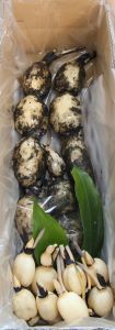 れんこんさん専用 楽天市場】ノンオイル れんこんドレッシング 280ml×5本【北海道