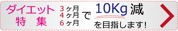 ダイエット食、カロリー制限食全国宅配