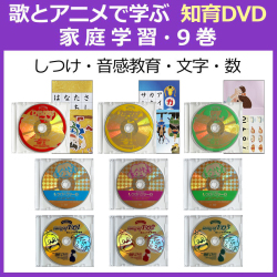 家庭学習9巻ディスク盤