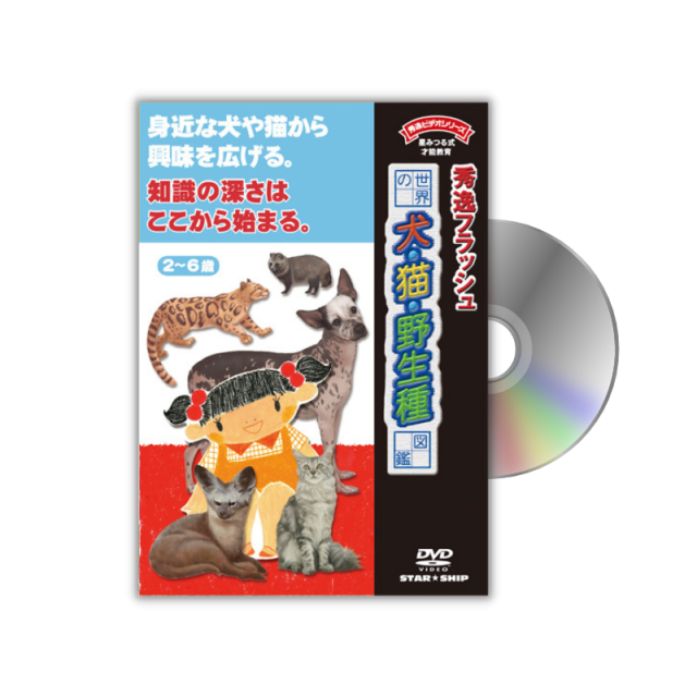 https://image1.shopserve.jp/star-ship.co.jp/pic-labo/llimg/assorted_k014.png?t=20260816182551