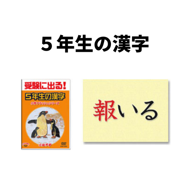 https://image1.shopserve.jp/star-ship.co.jp/pic-labo/llimg/assorted_kk_09.png?t=20260816182555