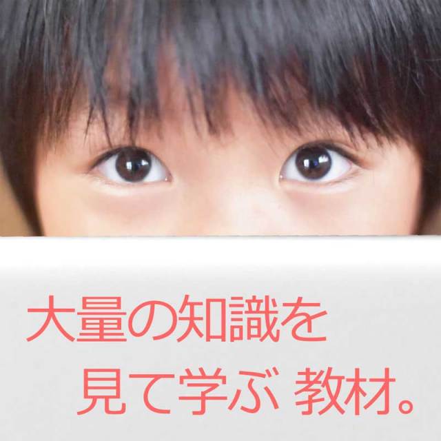 メモリーバード9巻【送料無料 即納】※DVDのケース変更に伴い価格がお安くなりました※ 星みつる式 5,400枚の絵カードを収録 赤ちゃんから小学生まで 深く掘り下げた知識で 興味と知的好奇心を広げるフラッシュカード映像教材 見て学ぶ