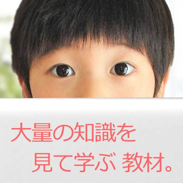 ウェンディー9巻【送料無料 即納】※DVDのケース変更に伴い価格がお安くなりました※ 星みつる式 5,400枚の絵カードを収録 赤ちゃんから小学生まで 言葉の発達を目的に開発 したフラッシュカード映像教材 見て学ぶ