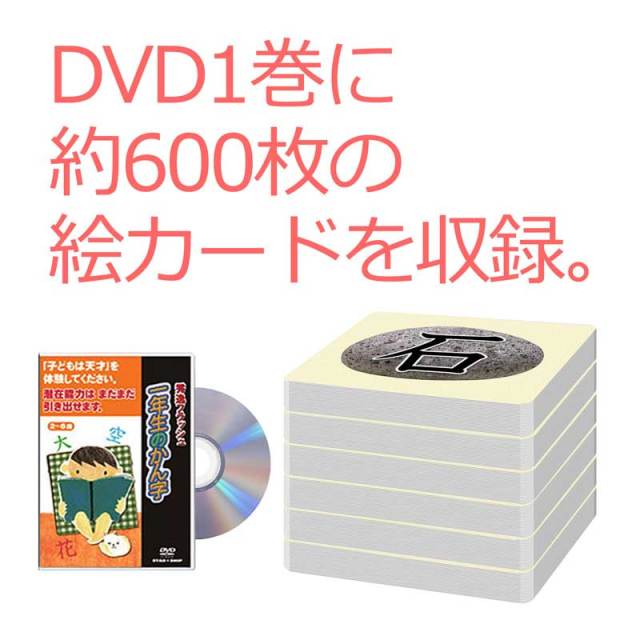 フラッシュカードDVD ウェンディー9巻【送料無料 即納】【公式ショップ限定5%OFF】星みつ る式 5,400枚の絵カードを9枚のDVDに収録 赤ちゃんから小学生まで 言葉の発達を目的に開発 したフラッシュカードDVD の 知能訓練 で ひらめき力 と 発想力を育む 絵カード