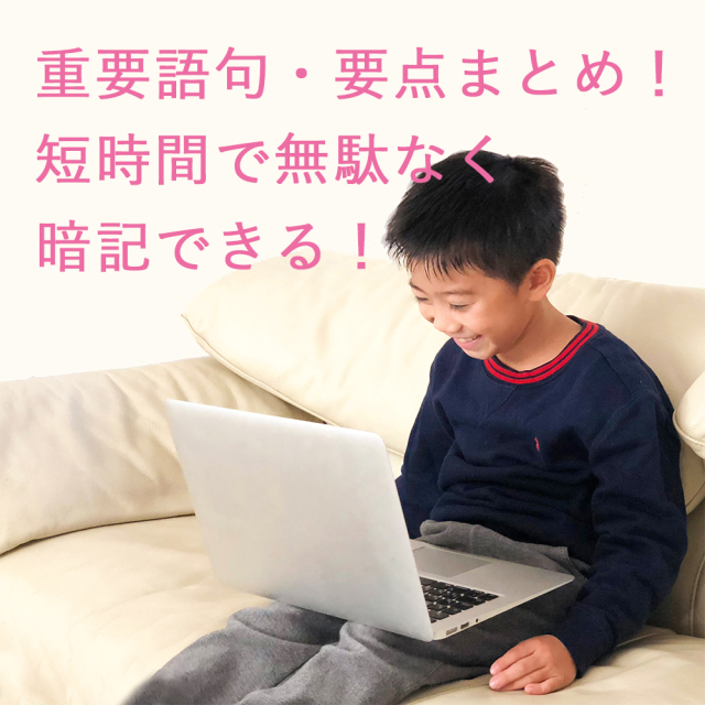 中学受験 社会 理科5巻 全収録本1冊セット フラッシュカード映像教材 ※DVDケースの変更に伴い価格がお安くなりました※ 星みつる式 現役東大生が厳選!中学受験に必要不可欠な社会・理科の重要語句を短時間で無駄なく暗記できる家庭学習用教材 理科社会5巻セット