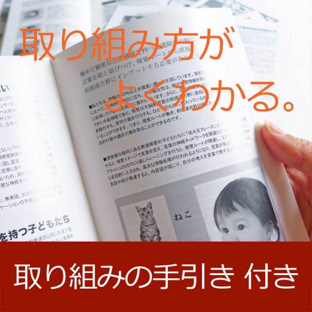 言語訓練(ST)後編12巻 旧:会話のスキル【送料無料 即納】【公式ショップ限定5%OFF】星みつる式 フラッシュカードDVD教材 言葉の遅れ、会話が気になるお子さま向け 自宅でも言語療法(ST)ができる発達障害の子向け言語訓練用教材 付属