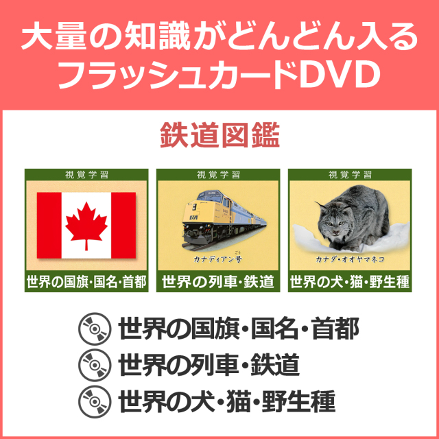 自分で作るカード百科SL編鉄道カードアルバム昭和昭和レトロ