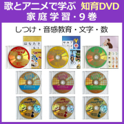家庭学習9巻ディスク盤