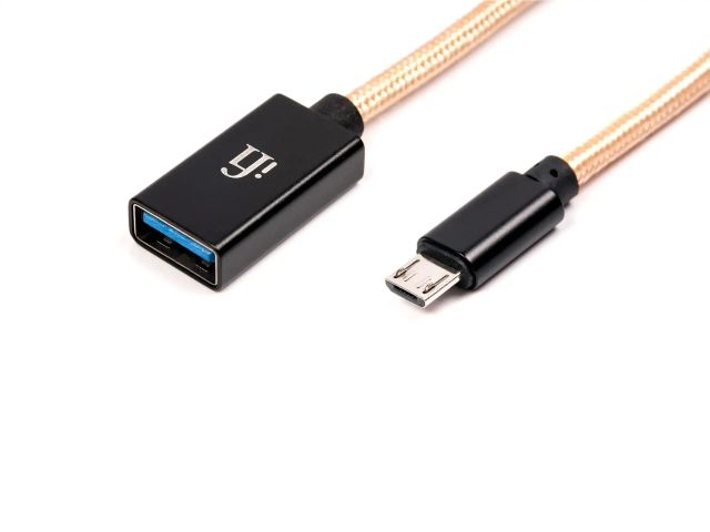 iFi audio Type-C OTG cable【取り寄せ品】