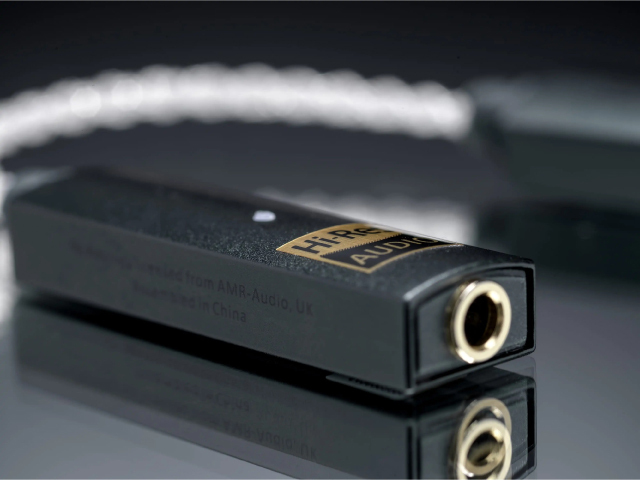 iFi-Audio Go link　美品 GO link - Take your music listening to the next level