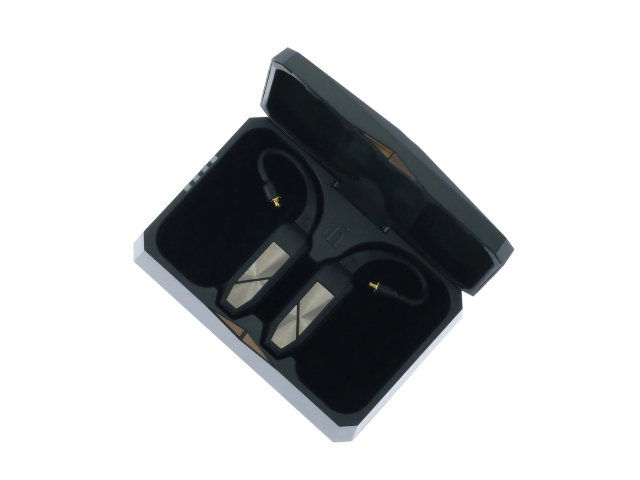 iFi audio GO pod