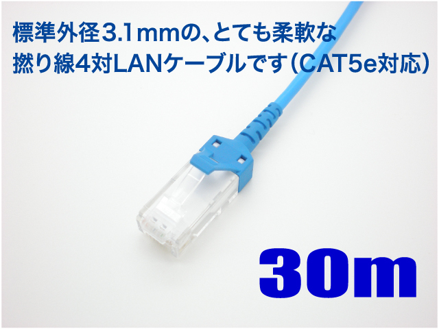 スリムLANケーブル 5m LYM-605BK BLUEVALUE CAT．7 LANケーブル 極細 5m／黒 | LANケーブル | ケーブル