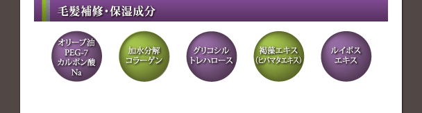 毛髪補修・保湿成分