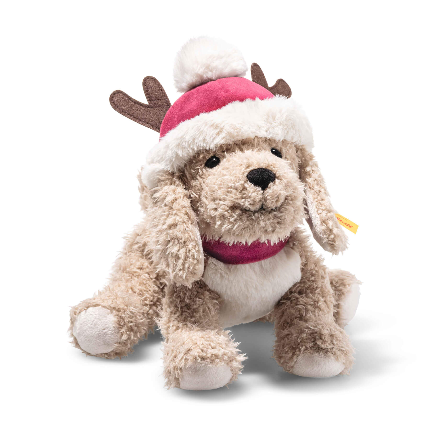 【comingsoon】イヌのルディ「クリスマス」