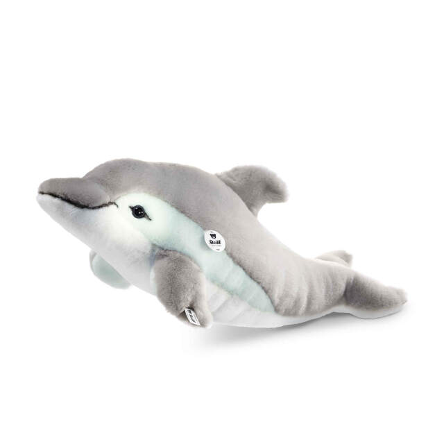 イルカのカピー