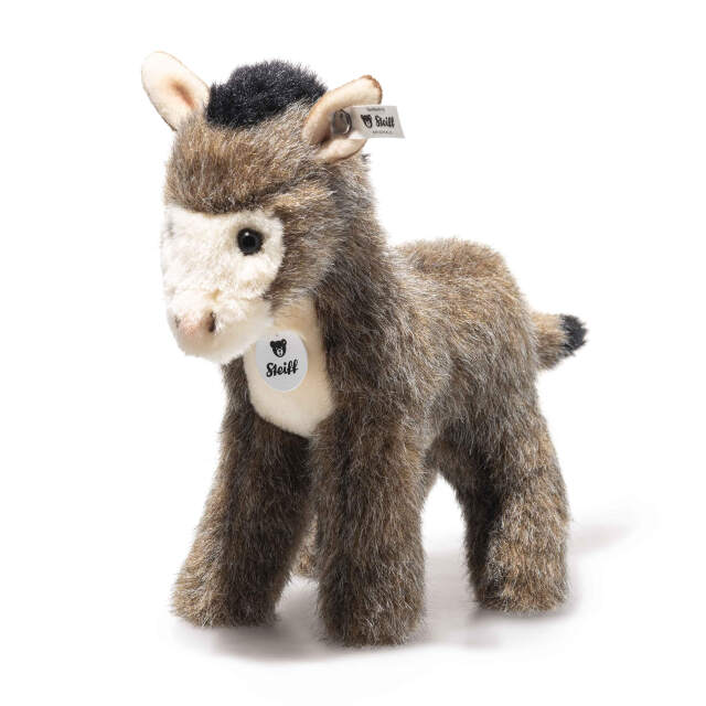 【comingsoon】ロバのアシヌス