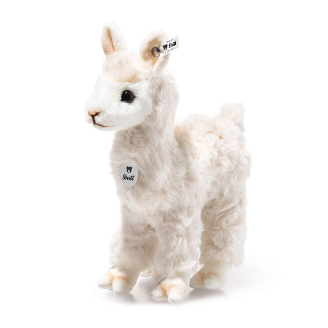 【comingsoon】アルパカのコージー