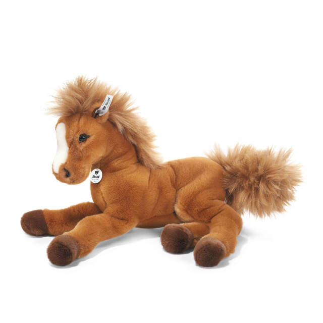 ウマのフェニー