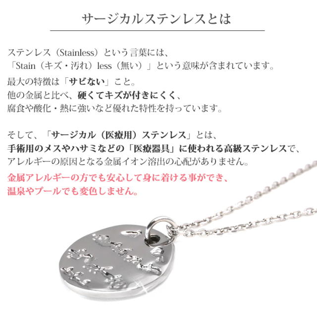 ステンレスネックレスvie ドレッシープレートペンダント
