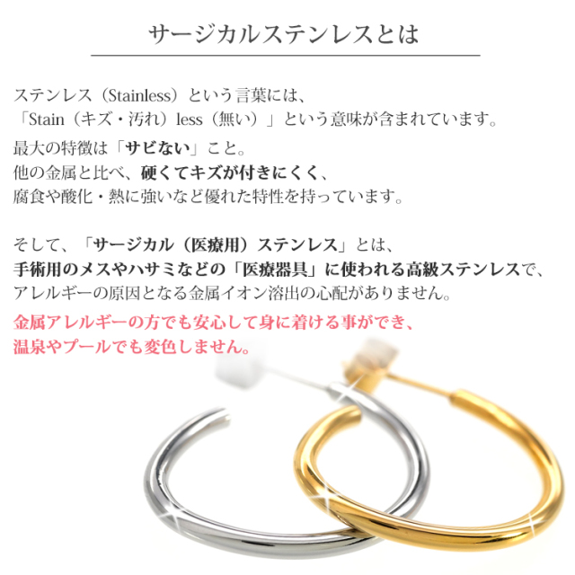 ナイスティフープピアス vie