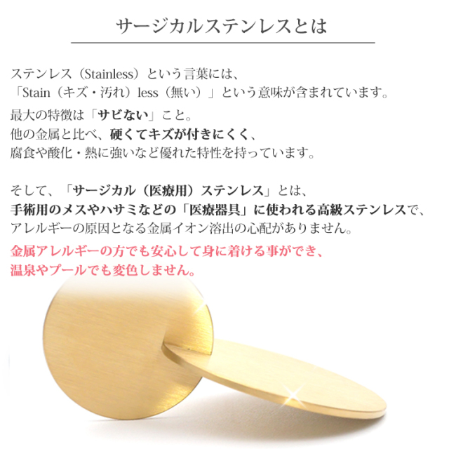 vie ダブルサークルピアス