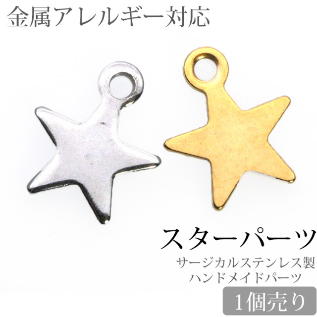 金属アレルギー対応 アクセサリーパーツ スターパーツ 星 チャーム 金具 ハンドメイド 手芸 パーツ サージカルステンレス pa014