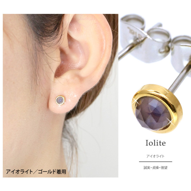 金属アレルギー対応 [EMBELLIR] ステンレスピアス ローズカット