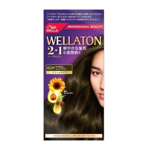 Ｐ＆Ｇ  ウエラトーン　2＋1クリーム　6GM　やや明るいマットブラウンマットブラウン１個