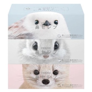 【数量限定】王子ネピア ネピア鼻セレブティシュ北海道の動物パッケージ３個パック