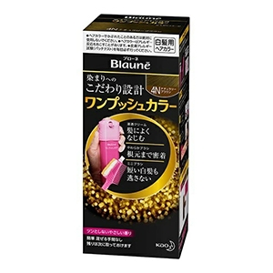花王　ブローネ　ワンプッシュカラー　４Ｎ　ナチュラリーブラウン１セット