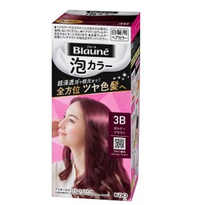 花王　ブローネ　泡カラー　３Ｂ　ボルドーブラウン１０８ｍｌ