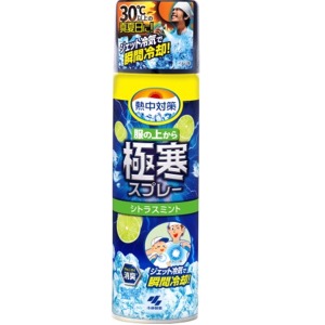 桐灰化学　熱中対策　服の上から極寒スプレー シトラスミント ３３０ｍｌ