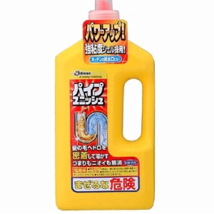 ジョンソン　パイプユニッシュ　８００ｇ