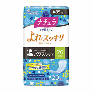 大王製紙　ナチュラ さら肌さらり よれスッキリ吸水ナプキン ２０枚入
