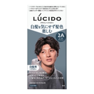 マンダム　ルシード　デザインヘアカラー クールアッシュ 2A メンズ用 白髪染め１組