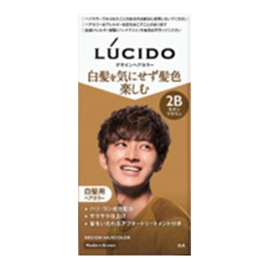 マンダム　ルシード　デザインヘアカラー　モダンブラウン 2B　メンズ用 白髪染め１組
