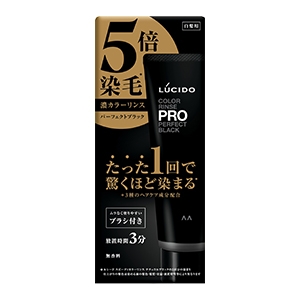 マンダム　ルシード　カラーリンスＰＲＯ　パーフェクトブラック１２０ｇ