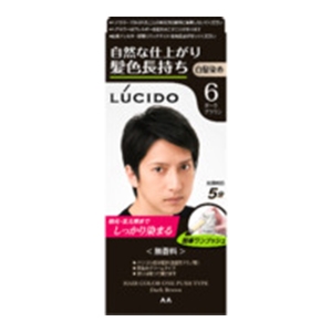 マンダム　ルシード ワンプッシュケアカラー６ ダークブラウンメンズ用無香料白髪染め１組