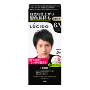 マンダム　ルシード ワンプッシュケアカラーアッシュブラウン6Aメンズ用無香料白髪染め１組