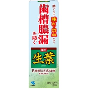 小林製薬　薬用ハミガキ生葉　１００Ｇ