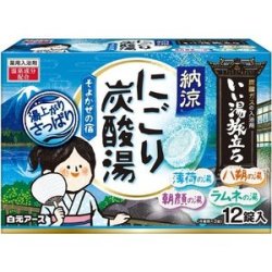 白元アース いい湯 納涼にごり炭酸そよかぜの宿１２錠