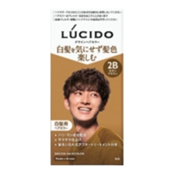 マンダム　ルシード　デザインヘアカラー　モダンブラウン 2B　メンズ用 白髪染め１組