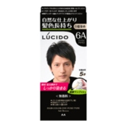 マンダム　ルシード ワンプッシュケアカラーアッシュブラウン6Aメンズ用無香料白髪染め１組