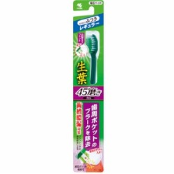 小林製薬  生葉４５°磨きブラシ　レギュラー　ふつう１本