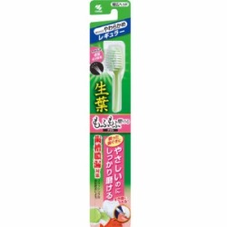 小林製薬　生葉　もふもふ磨けるブラシ　レギュラー　１本
