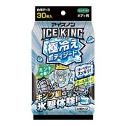 白元アース　アイスノン ICE KING 極冷えボディシートミントの香り３０枚