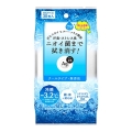 ファイントゥデイ　エージーデオ２４　クリアシャワーシートｎ　クール 無香性 　３０枚